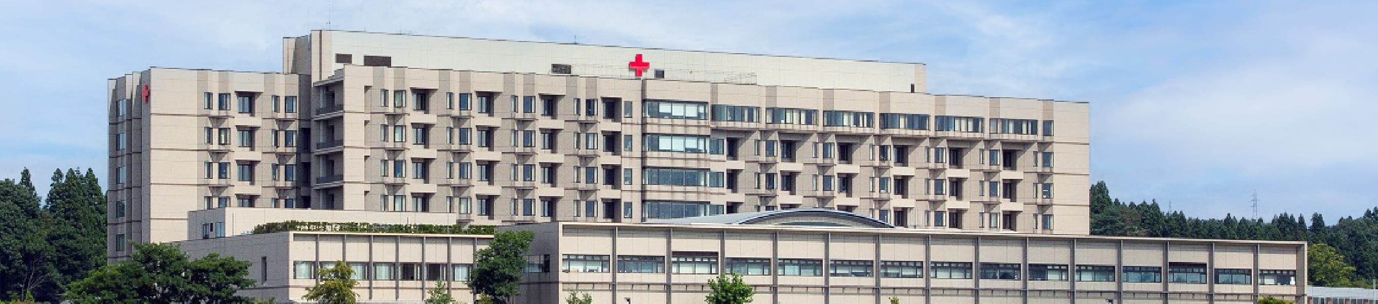 レギュレーション