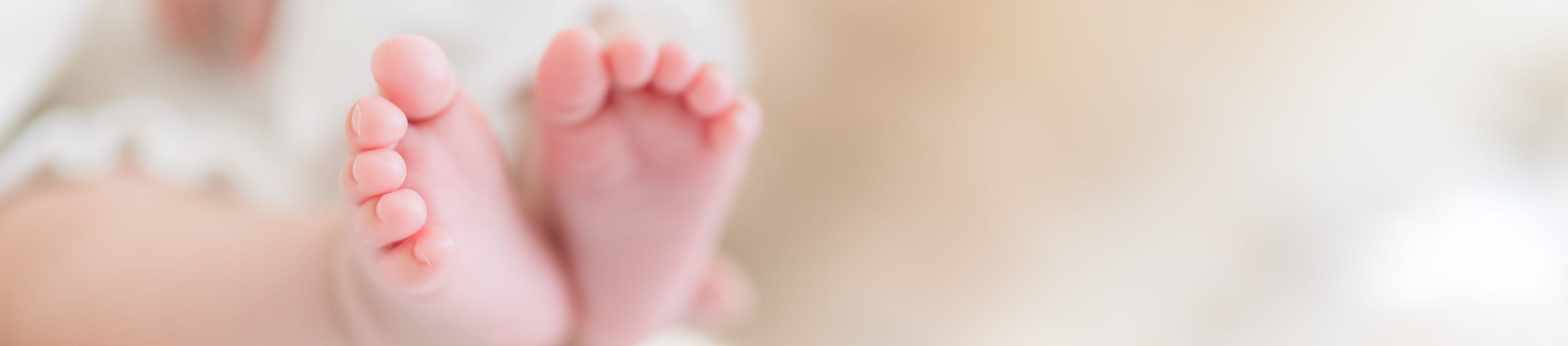 レギュレーション